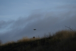 oxholm_131130_0801