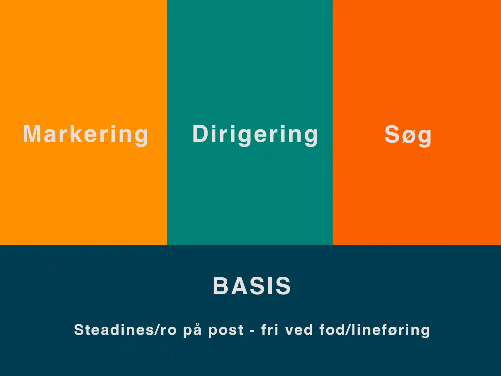 Extreme Sports Biking